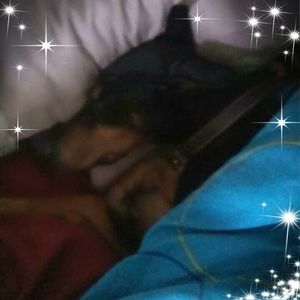 Meet your Posher, Angie